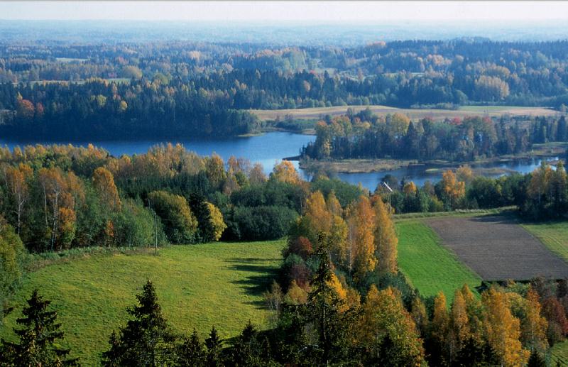 File:Haanja kõrgustik_Munamäe torn_Vaskna järv.jpg